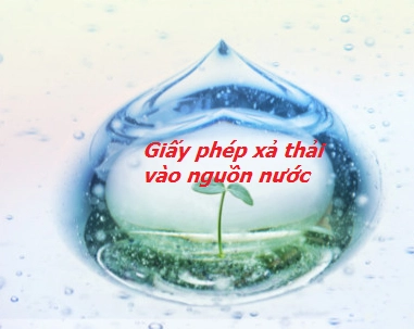 CÔNG TY TNHH THƯƠNG MẠI XÂY DỰNG KỸ THUẬT MÔI TRƯỜNG TD