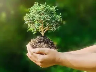 Giấy Phép Môi Trường