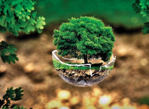 Tư vấn môi trường