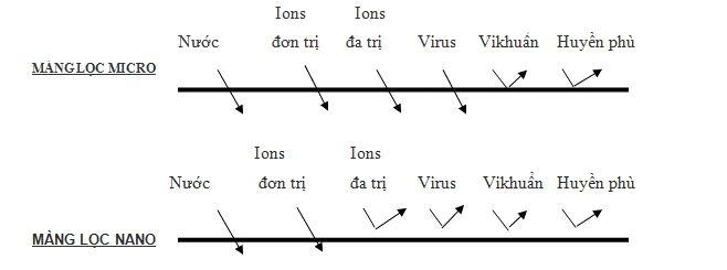 CÔNG TY TNHH THƯƠNG MẠI XÂY DỰNG KỸ THUẬT MÔI TRƯỜNG TD